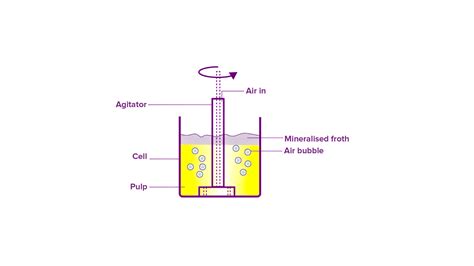 Draw a labeled diagram for the froth flotation process.