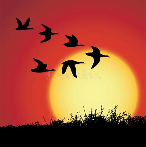 Sunset. Landscape in sunset with silhouette birds , #Aff, #Landscape, # ...