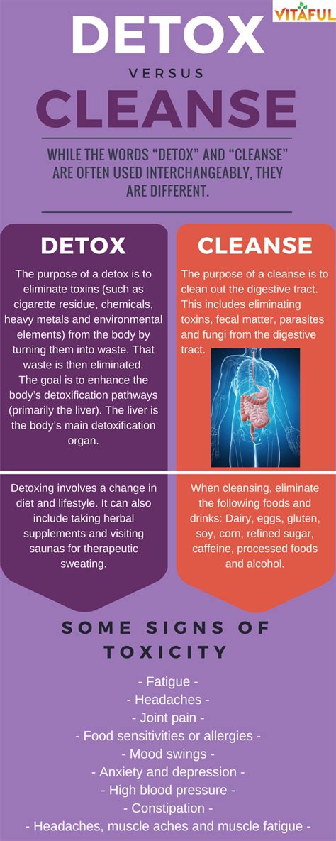 Detox vs cleanse their differences and benefits – Artofit