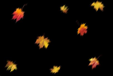 Free Leaf Overlays for Photoshop – 300 Autumn Overlays