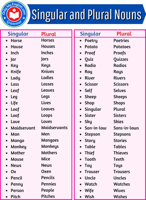 A Huge List of Singular and Plural Nouns words » Onlymyenglish.com