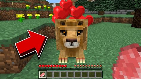 DO NOT FEED THIS LION IN MINECRAFT! - YouTube