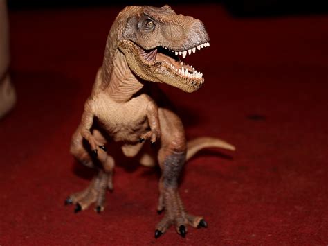 Papo Tyrannosaurus rex | The Papo Tyrannosaurus Rex (Brown &… | Flickr