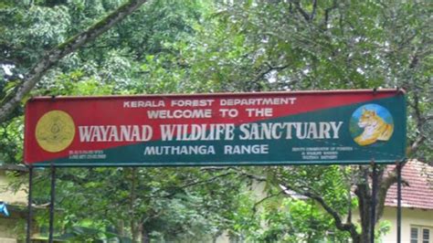 Wayanad Wildlife Sanctuary