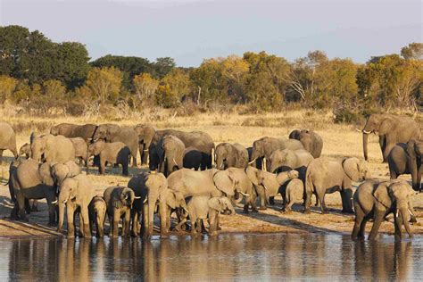 The 10 Best Places to Visit in Zimbabwe