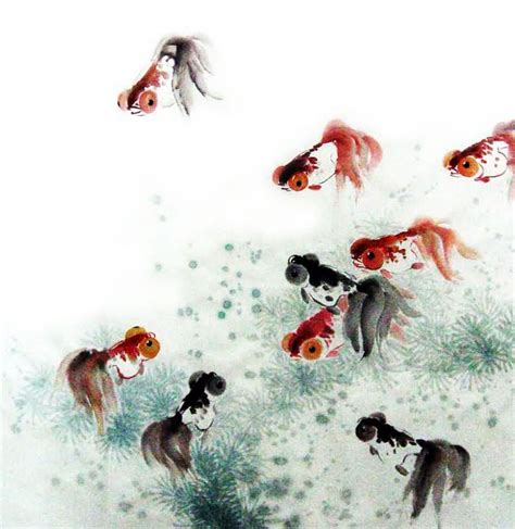 Chinese Goldfish Painting 0 2805002, 66cm x 66cm(26〃 x 26〃)