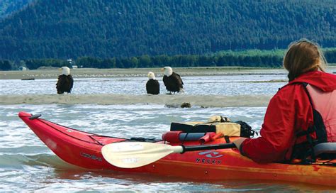 Kayaking Mendenhall Glacier View Tour, Juneau