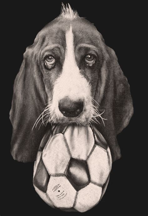 Dog Ball | Illustration, Illustration art, Drawing illustrations