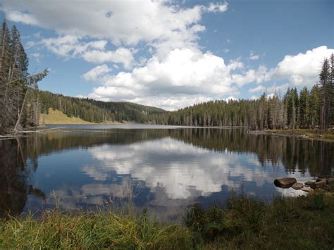 Mesa Lakes – Mesa-Collbran, CO | Grand Mesa National Forest