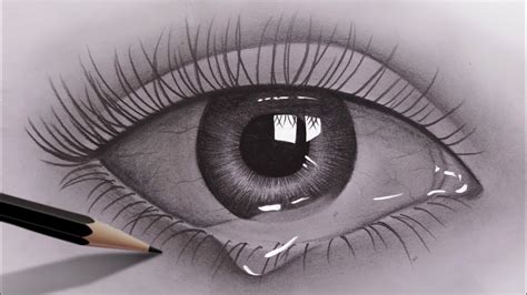 pencil Art Drawings Realistic Eye - myra-biol