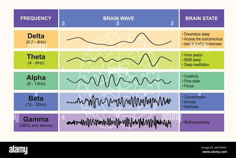 Set of brain waves oscillation. Alpha, beta, theta, delta, and gamma ...