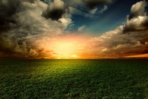 Green grass field during sunset HD wallpaper | Wallpaper Flare