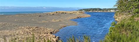 Agate Beach Walk: 18 Reviews, Map - Oregon | AllTrails