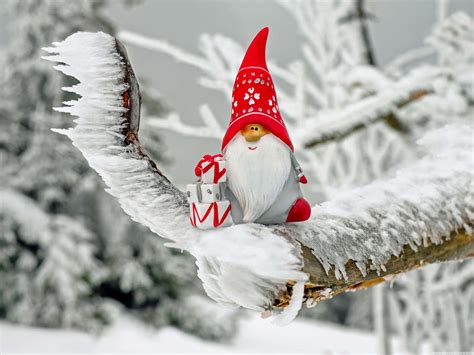 Download A Gnome Sitting On A Branch With Snow On It Wallpaper ...