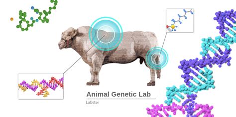 Animal Genetics - Labster