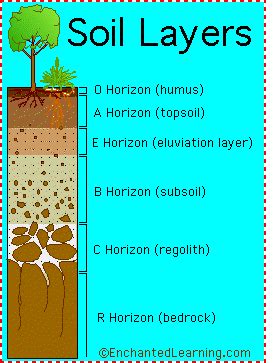 Soil Layers - Enchanted Learning