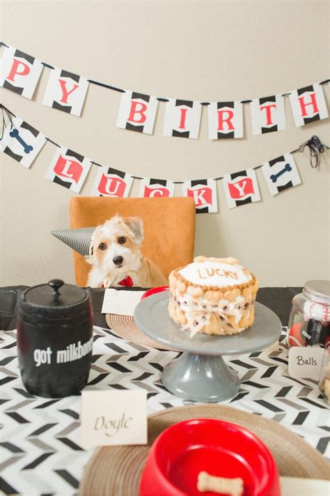 Dog Decorations for Birthday Party | BirthdayBuzz