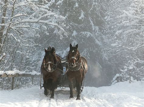 Take a Trip to Frankenmuth for Christmas Vibes