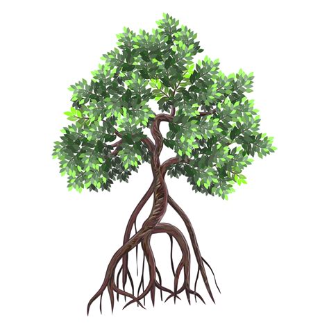 Mangrove Tree Vector Illustrations Hand Drawn Art Isolated On White ...