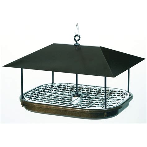 Duncraft Champion Feeder Metal Squirrel-Resistant Platform Bird Feeder ...