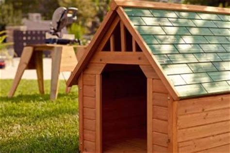 Choosing Dog House Materials | HowStuffWorks