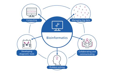 としての 洋書 Basics of Bioinformatics: Lecture Notes of the Graduate Summer ...