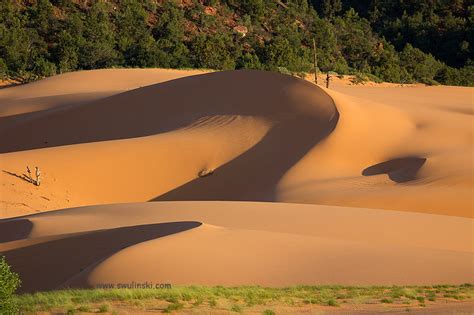 Coral Pink Sand Dunes - Maciej Swulinski