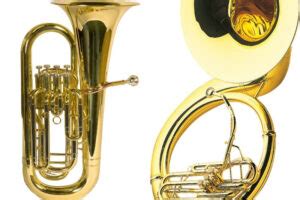 Tuba vs Sousaphone - What's the Difference? - Musical Mum