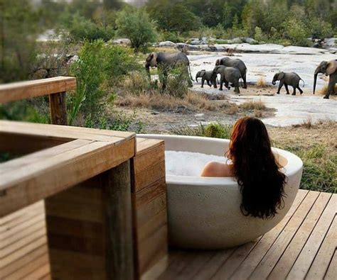 Top 5 ultra-luxurious safari lodges in South Africa - A Luxury Travel Blog