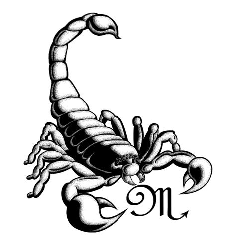 Scorpio Drawing - ClipArt Best