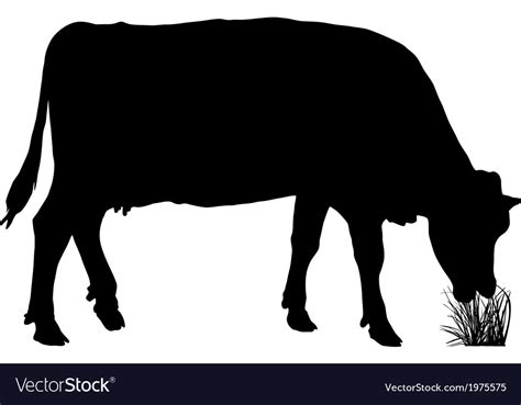 Grazing cow Royalty Free Vector Image - VectorStock