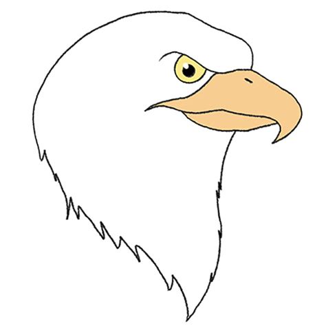 How to Draw an Eagle Head - Easy Drawing Tutorial For Kids