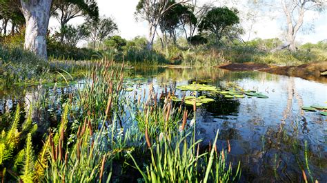 Globeplants bundle 46 : Wetland plants on Behance