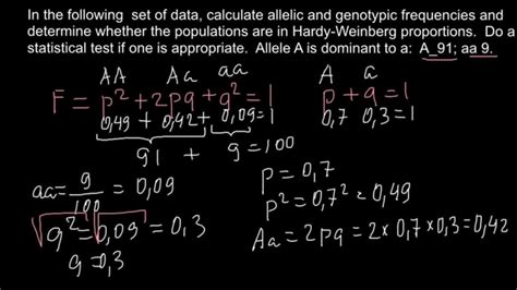 Genotype Frequency Vs Allele Frequency