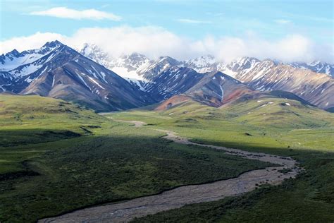 Alaska Vacation Recap: Denali National Park and Preserve - Park Chasers