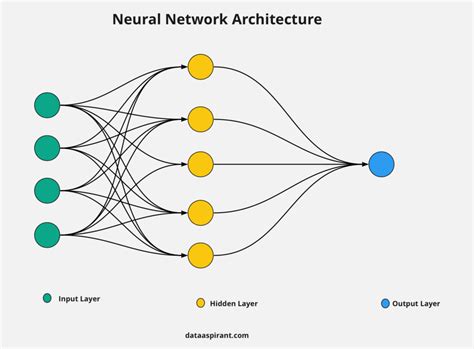 Introduction to Neural Networks Basics