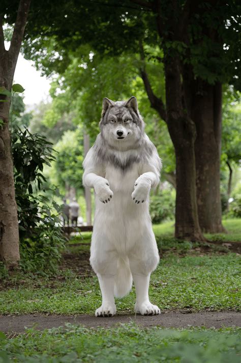 Werewolf Costumes For Men