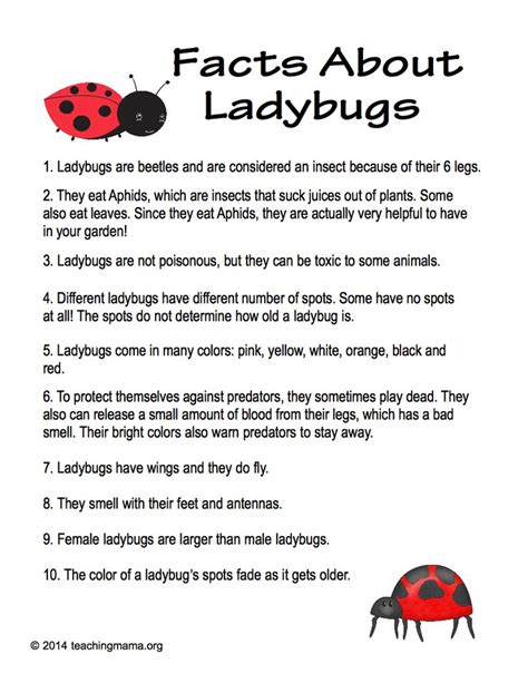 Facts About Ladybugs - Teaching Mama | Facts for kids, Ladybugs ...