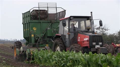 Valmet 705 Harvesting Sugar-Beets with Thyregod Sugar-beet Harvester ...