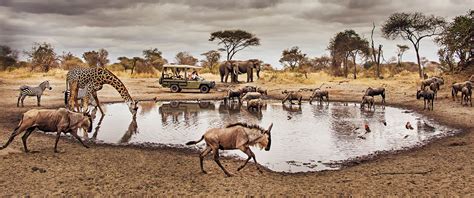 10 Facts About Serengeti National Park - Serengeti National Park