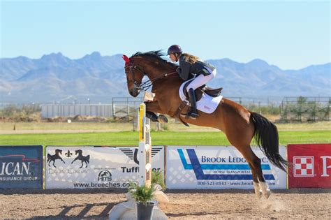 Jump Jargon: A Simple Guide to Horse Jumping Terms - Horse Rookie