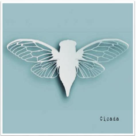 Cicada - Cicada (2020) - Breathing The Core