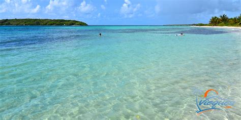 The Amazing Beaches of Vieques… One of the Islands of Puerto Rico | Vieques