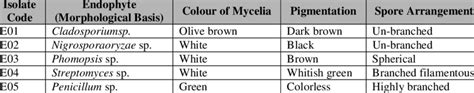 Morphological Characterization of Isolated Fungi | Download Table