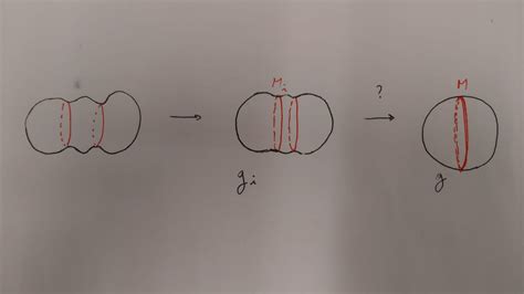 dg.differential geometry - Compactness theorem for minimal surfaces ...