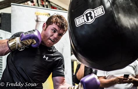 Saul "Canelo" Alvarez training gallery | Fight Hub TV | Boxing, UFC and ...