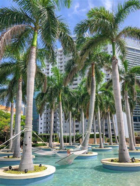 Four Seasons Hotel Miami: Review & How Best To Book | La Jolla Mom