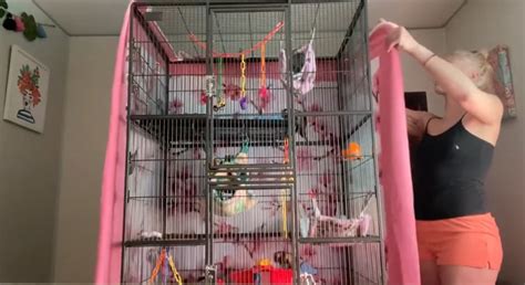 Sugar Glider Cage Cover - PETLOQ