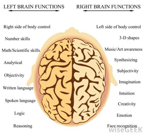 Lyme Brain Defined