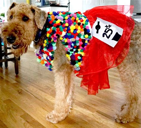 DIY Halloween Costumes for Dogs - My Life and Kids | Dog halloween ...